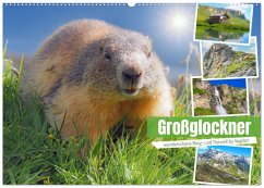 Cover Großglockner wunderschöne Berg- und Tierwelt (Wandkalender 2026 DIN A2 quer), CALVENDO Monatskalender