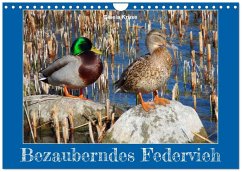 Bezauberndes Federvieh (Wandkalender 2026 DIN A4 quer), CALVENDO Monatskalender Cover Bezauberndes Federvieh (Wandkalender 2026 DIN A4 quer), CALVENDO Monatskalender