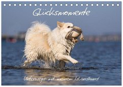 Glücksmomente - Unterwegs mit meinem Islandhund (Tischkalender 2026 DIN A5 quer), CALVENDO Monatskalender