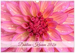 Cover Dahlien-Kronen (Wandkalender 2026 DIN A3 quer), CALVENDO Monatskalender