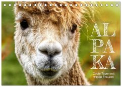 Cover Alpaka, coole Typen mit wilden Frisuren (Tischkalender 2026 DIN A5 quer), CALVENDO Monatskalender
