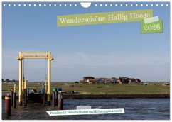 Wunderschöne Hallig Hooge (Wandkalender 2026 DIN A4 quer), CALVENDO Monatskalender