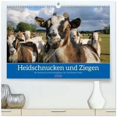 Heidschnucken und Ziegen die tierischen Landschaftspfleger der Lüneburger Heide (hochwertiger Premium Wandkalender 2026 DIN A2 quer), Kunstdruck in Hochglanz Heidschnucken und Ziegen die tierischen Landschaftspfleger der Lüneburger Heide (hochwertiger Premium Wandkalender 2026 DIN A2 quer), Kunstdruck in Hochglanz