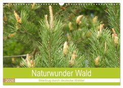 Naturwunder Wald (Wandkalender 2026 DIN A3 quer), CALVENDO Monatskalender