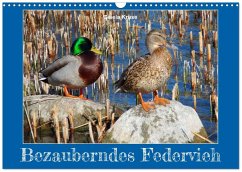 Bezauberndes Federvieh (Wandkalender 2026 DIN A3 quer), CALVENDO Monatskalender Cover Bezauberndes Federvieh (Wandkalender 2026 DIN A3 quer), CALVENDO Monatskalender