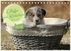 Lillyfee und ein Körbchen voller Glück (Tischkalender 2026 DIN A5 quer), CALVENDO Monatskalender Lillyfee und ein Körbchen voller Glück (Tischkalender 2026 DIN A5 quer), CALVENDO Monatskalender