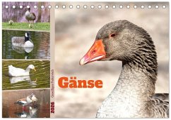 Cover Gänse, geselliges Federvieh (Tischkalender 2026 DIN A5 quer), CALVENDO Monatskalender