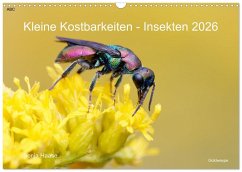 Cover Kleine Kostbarkeiten Insekten (Wandkalender 2026 DIN A3 quer), CALVENDO Monatskalender