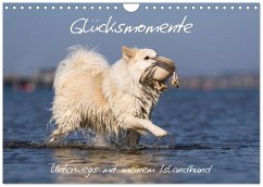 Glücksmomente - Unterwegs mit meinem Islandhund (Wandkalender 2026 DIN A4 quer), CALVENDO Monatskalender