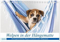 Cover Welpen in der Hängematte (Tischkalender 2026 DIN A5 quer), CALVENDO Monatskalender