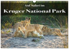 Auf Safari im Kruger National Park (Wandkalender 2026 DIN A3 quer), CALVENDO Monatskalender Auf Safari im Kruger National Park (Wandkalender 2026 DIN A3 quer), CALVENDO Monatskalender