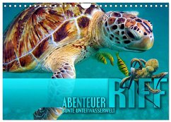 Abenteuer Riff - bunte Unterwasserwelt (Wandkalender 2026 DIN A4 quer), CALVENDO Monatskalender