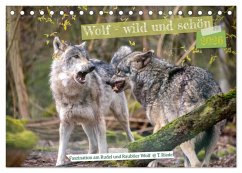Wolf - wild und schön (Tischkalender 2026 DIN A5 quer), CALVENDO Monatskalender