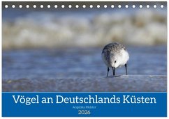Vögel an Deutschlands Küsten (Tischkalender 2026 DIN A5 quer), CALVENDO Monatskalender Vögel an Deutschlands Küsten (Tischkalender 2026 DIN A5 quer), CALVENDO Monatskalender