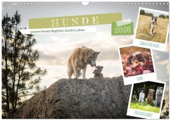 Hunde, unsere treuen Begleiter durch's Leben. (Wandkalender 2026 DIN A3 quer), CALVENDO Monatskalender Hunde, unsere treuen Begleiter durch's Leben. (Wandkalender 2026 DIN A3 quer), CALVENDO Monatskalender