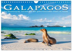 Die faszinierende Tierwelt der Galapagos-Inseln (Wandkalender 2026 DIN A4 quer), CALVENDO Monatskalender