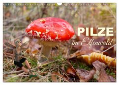 Cover Pilze im Elfenwald (Wandkalender 2026 DIN A3 quer), CALVENDO Monatskalender