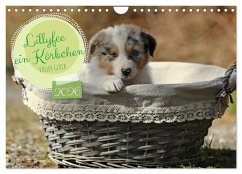 Lillyfee und ein Körbchen voller Glück (Wandkalender 2026 DIN A4 quer), CALVENDO Monatskalender Lillyfee und ein Körbchen voller Glück (Wandkalender 2026 DIN A4 quer), CALVENDO Monatskalender