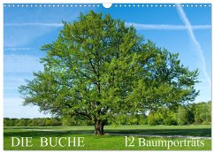 Die Buche: 12 Baumporträts (Wandkalender 2026 DIN A3 quer), CALVENDO Monatskalender Die Buche: 12 Baumporträts (Wandkalender 2026 DIN A3 quer), CALVENDO Monatskalender