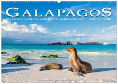 Die faszinierende Tierwelt der Galapagos-Inseln (Wandkalender 2026 DIN A2 quer), CALVENDO Monatskalender