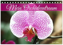 Mein Orchideentraum (Tischkalender 2026 DIN A5 quer), CALVENDO Monatskalender
