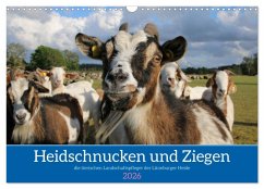 Heidschnucken und Ziegen die tierischen Landschaftspfleger der Lüneburger Heide (Wandkalender 2026 DIN A3 quer), CALVENDO Monatskalender Heidschnucken und Ziegen die tierischen Landschaftspfleger der Lüneburger Heide (Wandkalender 2026 DIN A3 quer), CALVENDO Monatskalender