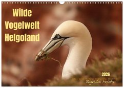 Wilde Vogelwelt Helgoland (Wandkalender 2026 DIN A3 quer), CALVENDO Monatskalender Wilde Vogelwelt Helgoland (Wandkalender 2026 DIN A3 quer), CALVENDO Monatskalender