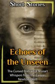 Echoes of the Unseen (eBook, ePUB)