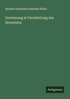 Cover Gewinnung & Verarbeitung des Bernsteins