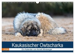 Cover Kaukasischer Owtscharka (Wandkalender 2026 DIN A3 quer), CALVENDO Monatskalender