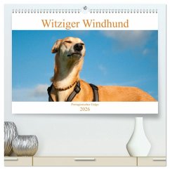 Cover Witziger Windhund - Portugiesischer Galgo (hochwertiger Premium Wandkalender 2026 DIN A2 quer), Kunstdruck in Hochglanz