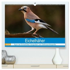 Eichelhäher - Egon der Eichelhäher fotografiert von Ostfriesenfotografie (hochwertiger Premium Wandkalender 2026 DIN A2 quer), Kunstdruck in Hochglanz Eichelhäher - Egon der Eichelhäher fotografiert von Ostfriesenfotografie (hochwertiger Premium Wandkalender 2026 DIN A2 quer), Kunstdruck in Hochglanz