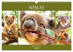 Koalas. Teddy-Alarm! (Wandkalender 2026 DIN A3 quer), CALVENDO Monatskalender