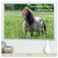 Charakterstarke Islandpferde (hochwertiger Premium Wandkalender 2026 DIN A2 quer), Kunstdruck in Hochglanz