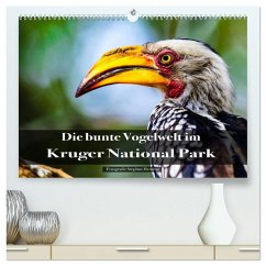 Die bunte Vogelwelt im Kruger National Park (hochwertiger Premium Wandkalender 2026 DIN A2 quer), Kunstdruck in Hochglanz