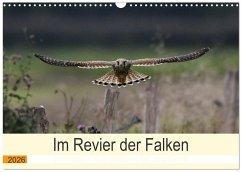 Im Revier der Falken (Wandkalender 2026 DIN A3 quer), CALVENDO Monatskalender