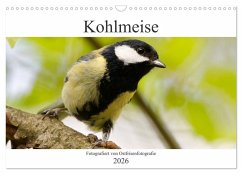 Kohlmeise - Fotografiert von Ostfriesenfotografie (Wandkalender 2026 DIN A3 quer), CALVENDO Monatskalender Kohlmeise - Fotografiert von Ostfriesenfotografie (Wandkalender 2026 DIN A3 quer), CALVENDO Monatskalender