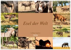 Cover Esel der Welt - Lieblings Langohren (Wandkalender 2026 DIN A3 quer), CALVENDO Monatskalender