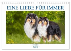 Cover Eine Liebe für immer - Collies (Wandkalender 2026 DIN A4 quer), CALVENDO Monatskalender