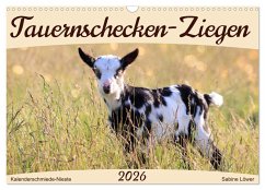 Cover Tauernschecken-Ziegen (Wandkalender 2026 DIN A3 quer), CALVENDO Monatskalender