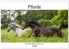 Cover Pferde, das größte Glück auf dieser Erde (Wandkalender 2026 DIN A2 quer), CALVENDO Monatskalender