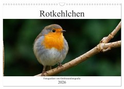 Rotkehlchen - Fotografiert von Ostfriesenfotografie (Wandkalender 2026 DIN A3 quer), CALVENDO Monatskalender