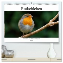 Rotkehlchen - Fotografiert von Ostfriesenfotografie (hochwertiger Premium Wandkalender 2026 DIN A2 quer), Kunstdruck in Hochglanz