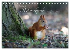 Bewohner des Rebstockparks Frankfurt am Main (Tischkalender 2026 DIN A5 quer), CALVENDO Monatskalender Bewohner des Rebstockparks Frankfurt am Main (Tischkalender 2026 DIN A5 quer), CALVENDO Monatskalender