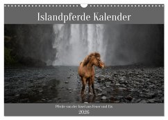 Islandpferde Kalender - Pferde von der Insel aus Feuer und Eis (Wandkalender 2026 DIN A3 quer), CALVENDO Monatskalender
