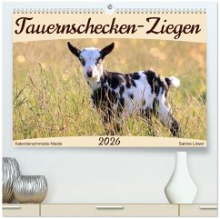 Tauernschecken-Ziegen (hochwertiger Premium Wandkalender 2026 DIN A2 quer), Kunstdruck in Hochglanz