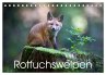 Rotfuchswelpen (Tischkalender 2026 DIN... - Bild 1