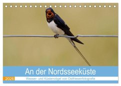 An der Nordseeküste - Wasser- und Küstenvögel fotografiert von Ostfriesenfotografie (Tischkalender 2026 DIN A5 quer), CALVENDO Monatskalender An der Nordseeküste - Wasser- und Küstenvögel fotografiert von Ostfriesenfotografie (Tischkalender 2026 DIN A5 quer), CALVENDO Monatskalender