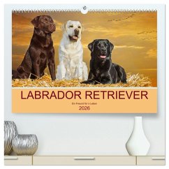 Labrador Retriever - Ein Freund für´s Leben (hochwertiger Premium Wandkalender 2026 DIN A2 quer), Kunstdruck in Hochglanz