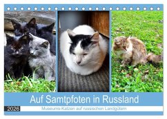 Cover Auf Samtpfoten in Russland - Museums-Katzen auf russischen Landgütern (Tischkalender 2026 DIN A5 quer), CALVENDO Monatskalender